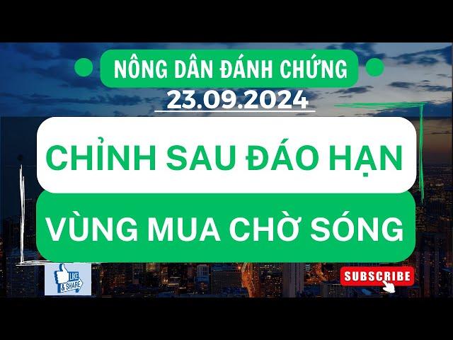 Chứng khoán hôm nay / Nhận định thị trường : Chỉnh sau đáo - vùng mua chờ sóng