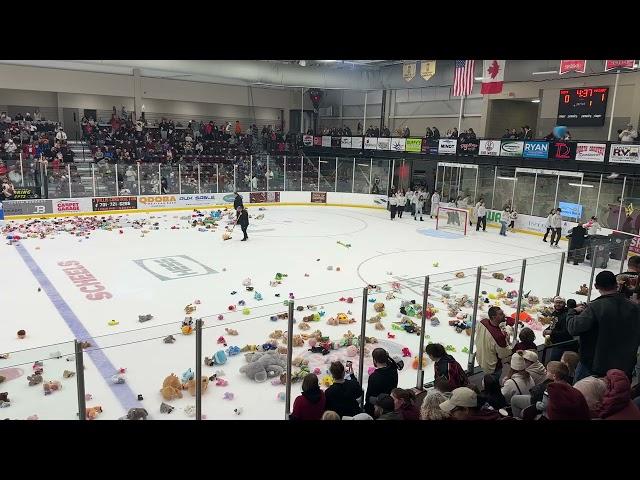 Fans toss teddy bears at Minotauros game