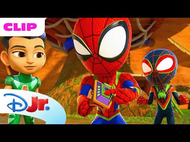 Marvel's Spidey and his Amazing Friends | Baddie Dinos Take Over the Tree House | @disneyjr