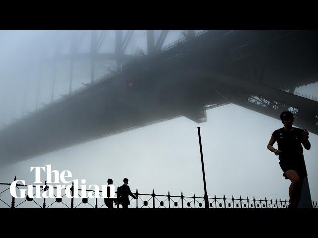 Blanket of fog rolls across Sydney harbour