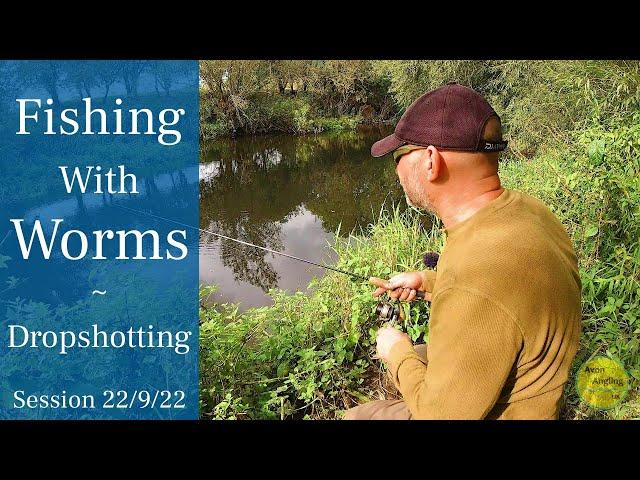 Dropshotting - Small River Sight Fishing With Worms - River Avon - 22/9/22 (Video 348)