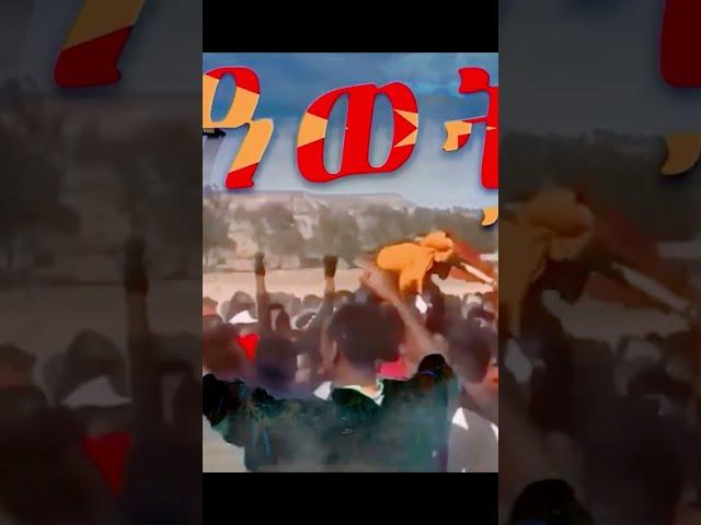 ዓወት ተደሪሩ Subscribe please