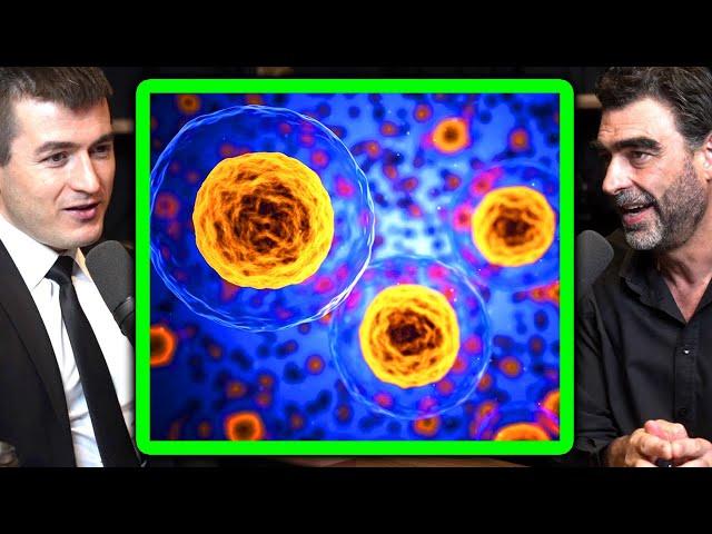 Common ancestor to all life on Earth | Nick Lane and Lex Fridman