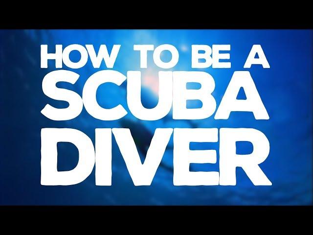 How To Be A Scuba Diver