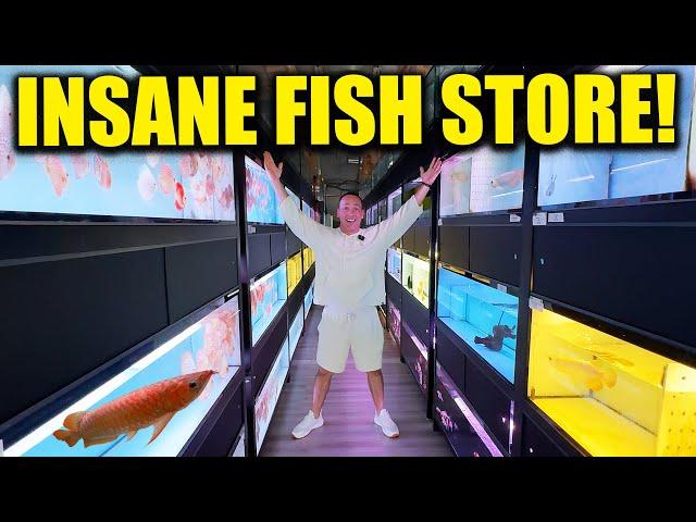 BRAND NEW aquarium store has incredibly HIGH END FISH! Asian arowana, discus and more! KING OF DIY