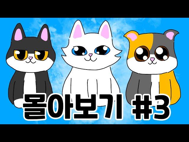 Catoutdoor Binge-Watching (ENG SUB) | CatOutdoor