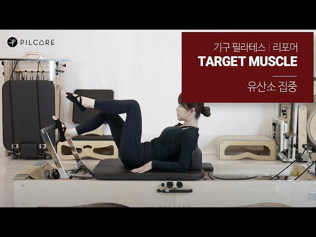 기구 필라테스(리포머) Target Muscle - 유산소 집중 Sequence