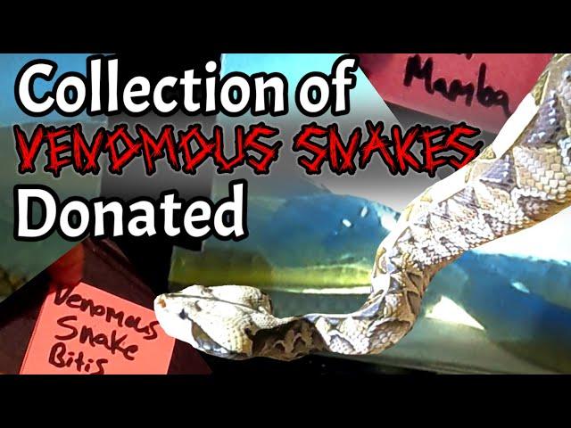 Owner bitten by Cobra Donates Venomous Snake Collection