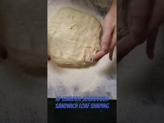 Method #1 for shaping sandwich loaf #bread #sourdough #baking #einkorn #ancientgrain