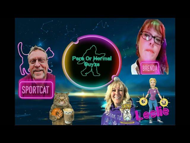 Para OR Normal Guyz - The Sportcat Show | "Unlocking the Animal Mind" Leslie Cirinesi