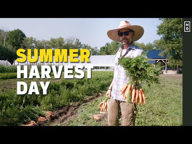 Harvesting In The Market Garden | How We Do It Fast And Efficient 