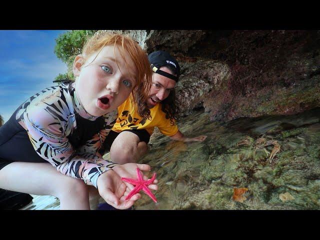 ADLEY Found a STAR FiSH  Mom grabs a CRAB!!  Exploring Tide Pools for Sea Creatures and Shells!