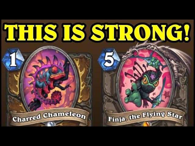 This is EXACTLY the Card Finja Druid Needed!