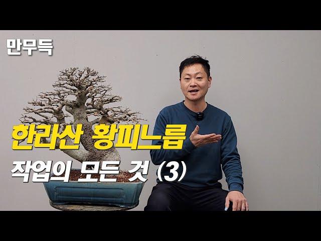 118. 한라산 황피느릅 I 작업의 모든 것(3)