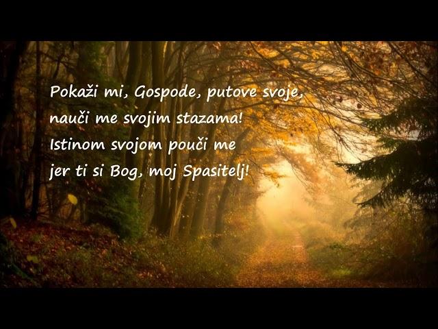 Psalam 25 (Pokaži mi, Gospodine, putove svoje)