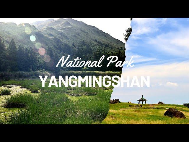 The Tranquility of Yangmingshan National Park