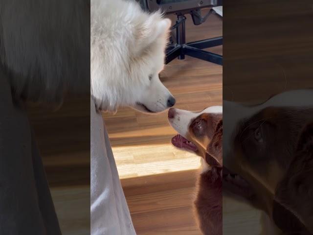 When you finally found that BEST FRIEND 