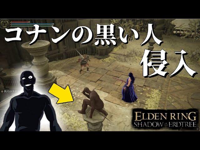 【エルデンリングDLC】知力99！コナンの黒い人の侵入！その9【ELDEN RING SHADOW OF THE ERDTREE】#84、PvP、純魔ビルド