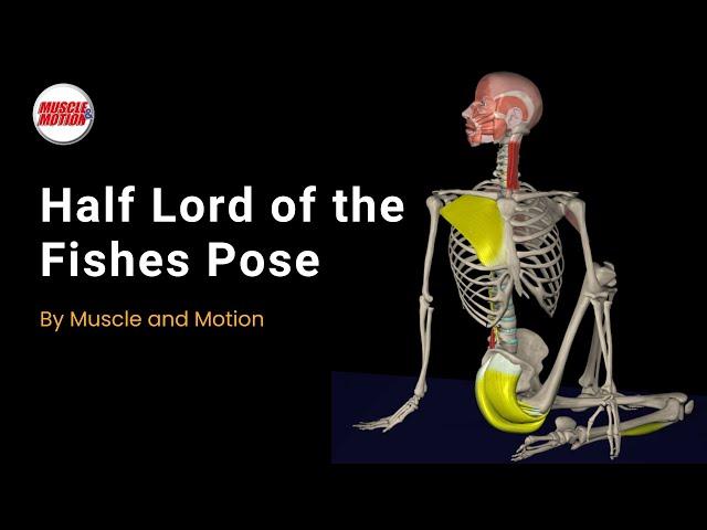 Half Lord of the Fishes: Maximize Flexibility & Form