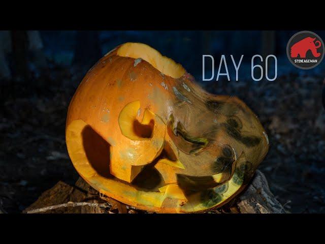 This Pumpkin Decomposes in Epic Timelapse