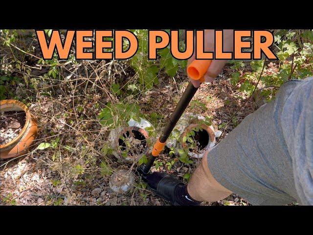 HANDY DANDY WEED PULLER #amazonhiddengems #landscaping #ad #home #diy #foryou