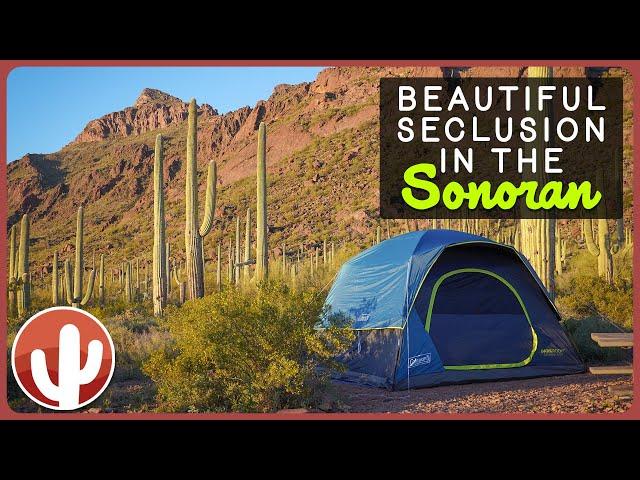 Exploring Serenity: Alamo Canyon Primitive Campground in Organ Pipe Cactus National Monument