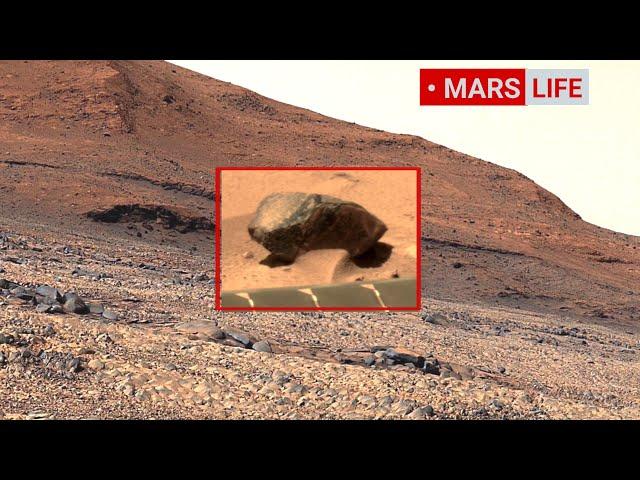 NASA's Mars Rover Sent Super Incredible Footage Of Mars' Surface! Curiosity' Rover Mars In 4K