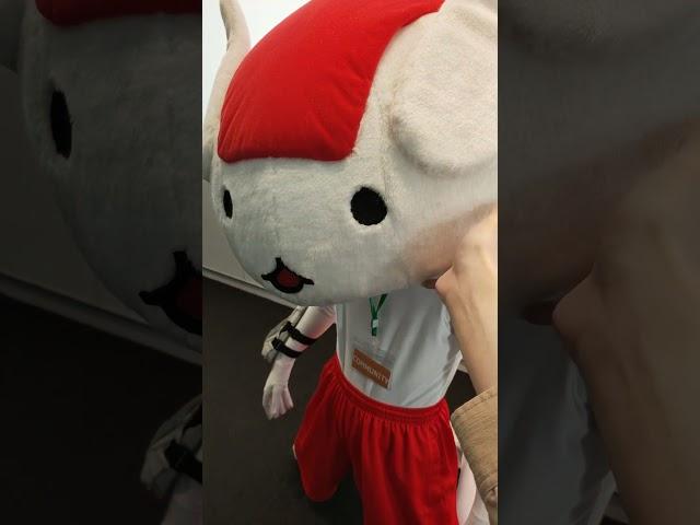 カニカマさん触ってみた #shorts