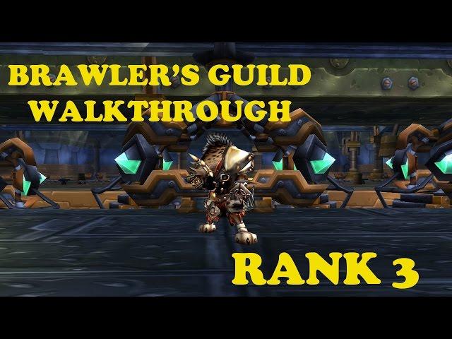 Brawler's Guild Walkthrough - Rank 3 (Blat, Vian the Volitile, Ixx, Mazhareen)