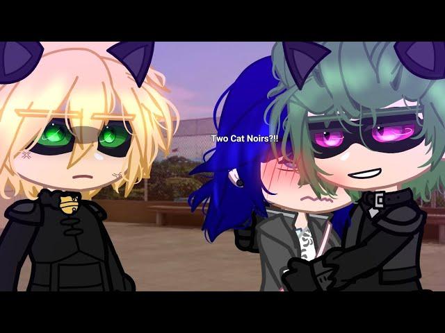 "Two Cat Noirs?!!"// Miraculous// meme// GC//