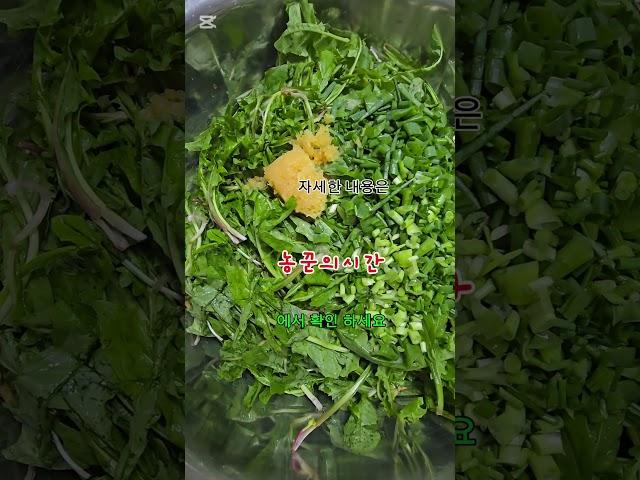 토종 흰민들레 #농사 #garden #자연농원 #주말농사 #gardening #귀촌생활 #김치 #산골 #산나물 #plants