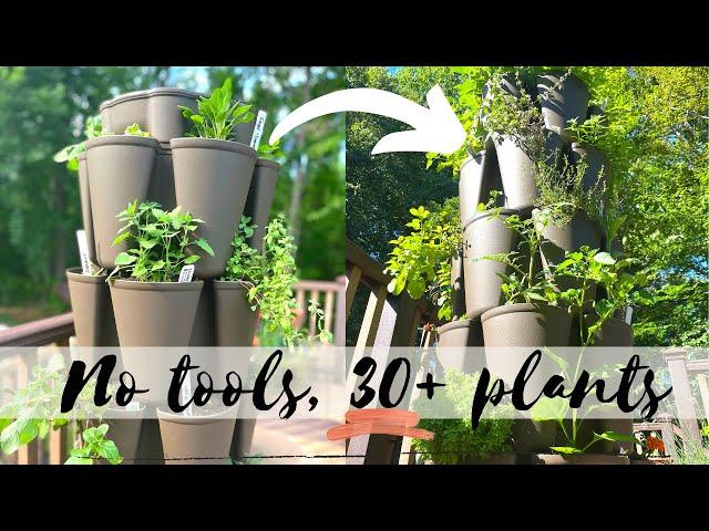 The BEST Planter to START a Small Space Garden| Green Stalk | 30+ Plants in 2 SQ FT!!