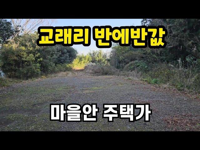 경매 제주시 조천읍 교래리 마을안 1천평 반에반값 010 4436 0401 제주도부동산 토지 매매 급매물