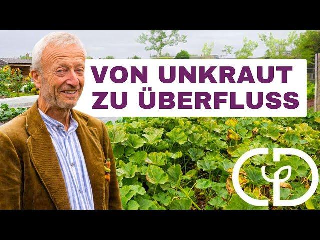 Von Unkraut zur Pracht: No-Dig Garten-Transformation (2021-2024 Ergebnisse)