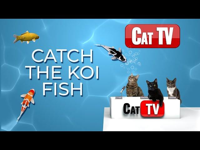 CAT TV Fish |  Catch The Koi Fish | Cat Games 4K | Fish Videos For Cats | 3 Hours
