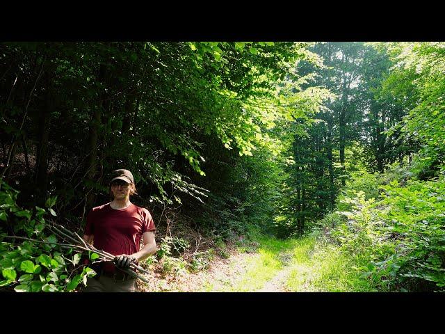 EP 88 | Off Grid in the Alps – Trail Work, Outdoor Sink & Summer Life