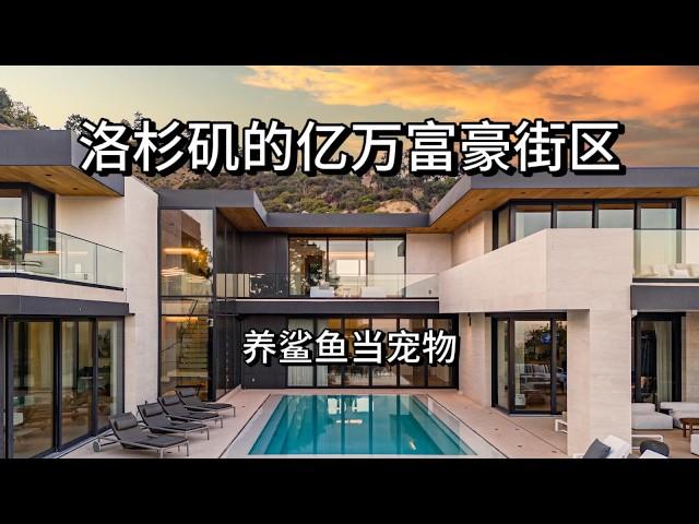 $2300万美金! 洛杉矶富豪街区 “Bird Street” 在家养鲨鱼？