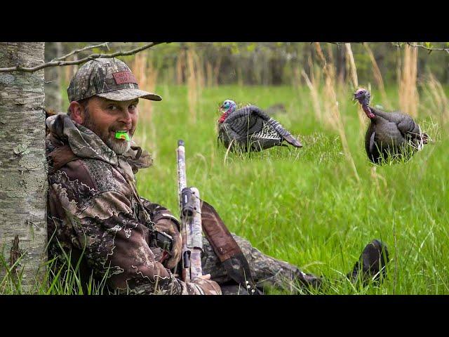 PERFECT Right Off Roost | Kentucky Classic Turkey