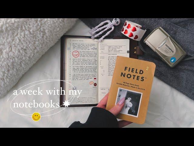 a week with my notebooks | hobonichi x field notes (ep. 2) 