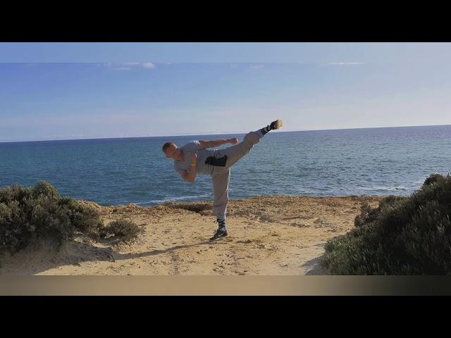 Shaolin Kung Fu on smartphon.