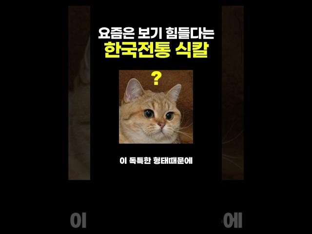 요즘은 보기 힘들다는 한국전통 식칼