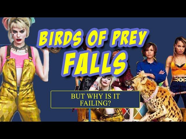 Birds of Prey Falls - Cams Geek Spot