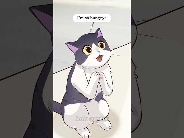 Desperate and Starving, A Stray Cat’s Last Hope! #cat #animation