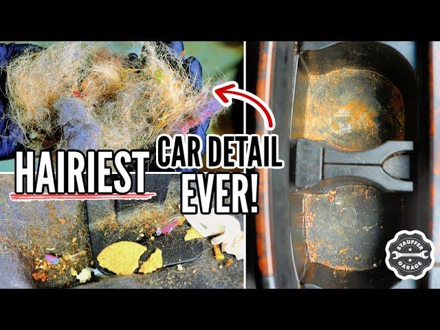 The Nastiest Toyota Land Cruiser! Complete Disaster Car Detailing Transformation || Stauffer Garage