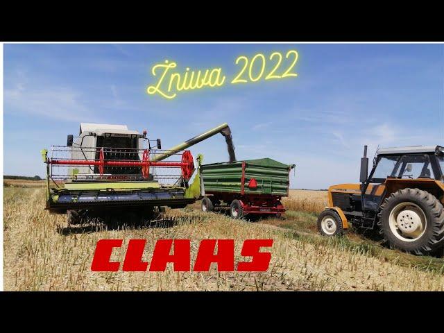 Pierwszy dzień żniw 2022 Rzepak Claas Mega 350 Arion 440 Ursus 1012