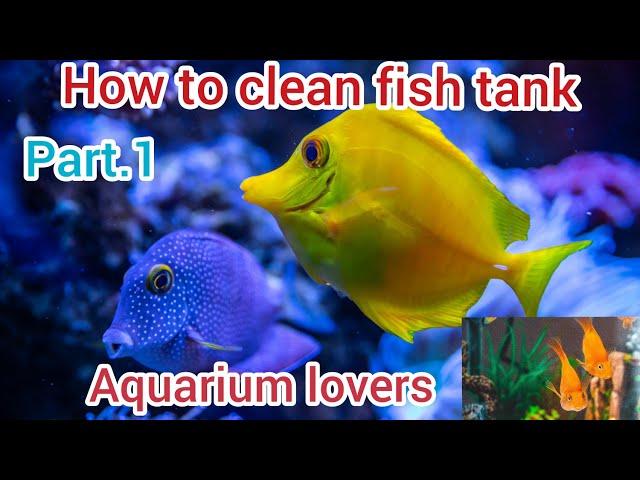 How to clean fish tank||Aqurium lovers||Ambition iq