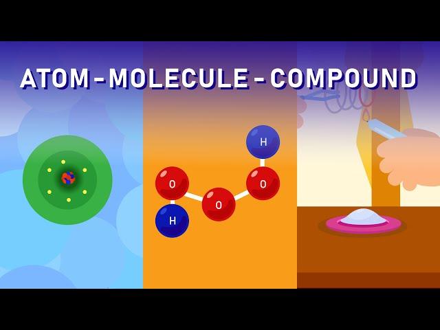 What Distinguishes Compounds from Molecules?