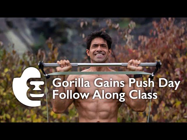 Gorilla Gains Push Day Follow Along Class