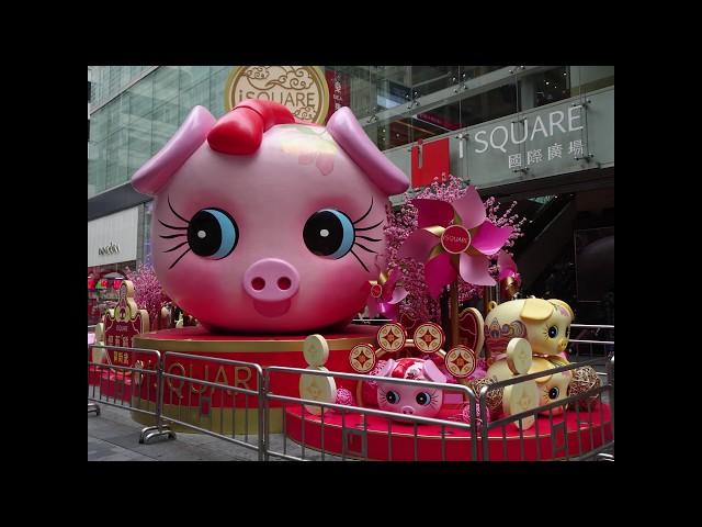 HONG KONG YEAR OF THE PIG STREETS PICTURES