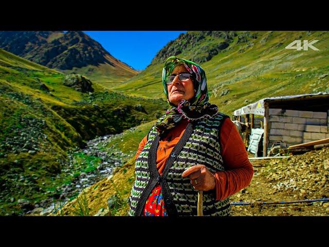 Baş Hemşin Plateau - Keçici Family | Documentary ▫️4K▫️